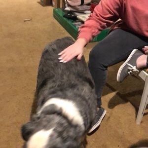 Meet your Posher, Amy